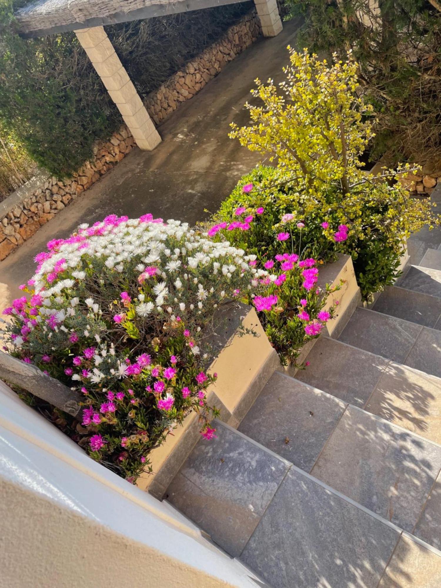 Villa Quatre Vents Punta Prima  Exterior photo
